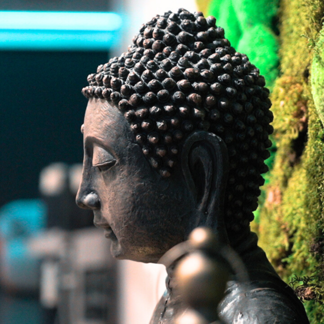 Bouddha au Patio Spa à Beauvais / Allonne